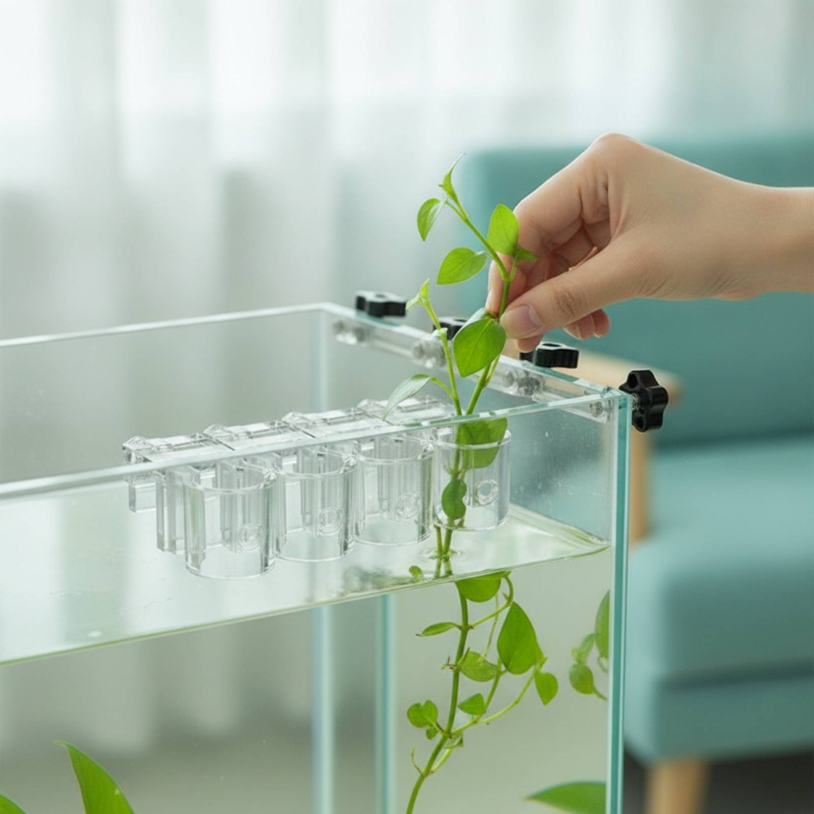 6 Pieces Aquarium Planter Clea - Aquarium Plant Original review and price