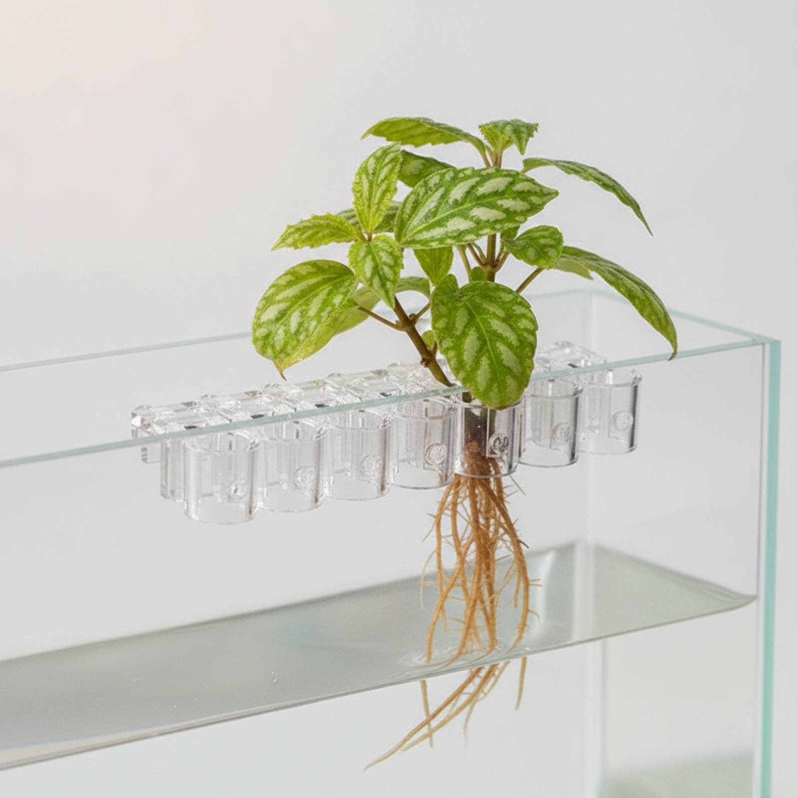 6 Pieces Aquarium Planter Clea - Aquarium Plant Original review and price
