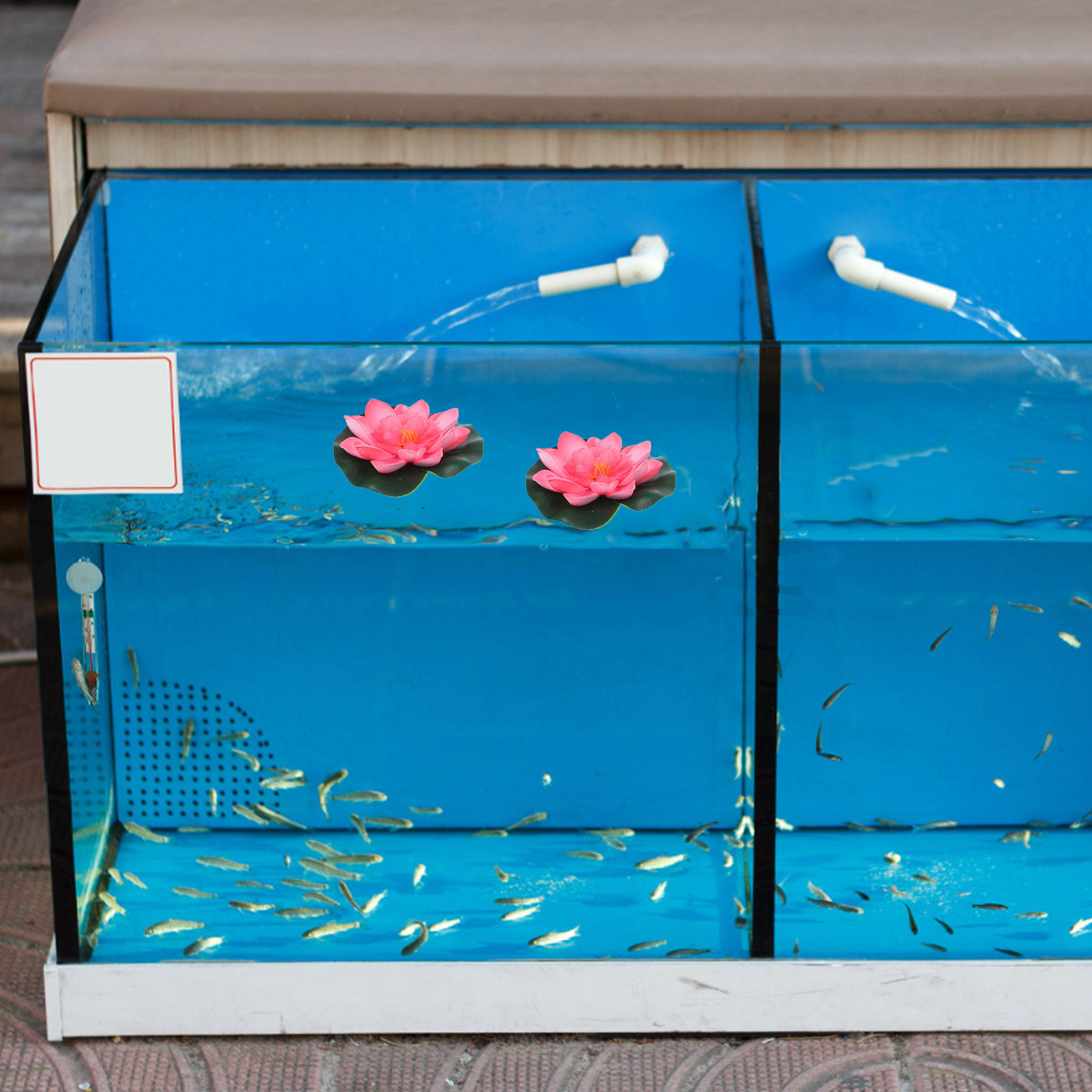 12Pcs Artificial Floating Wate - Aquarium Plant Original review and price