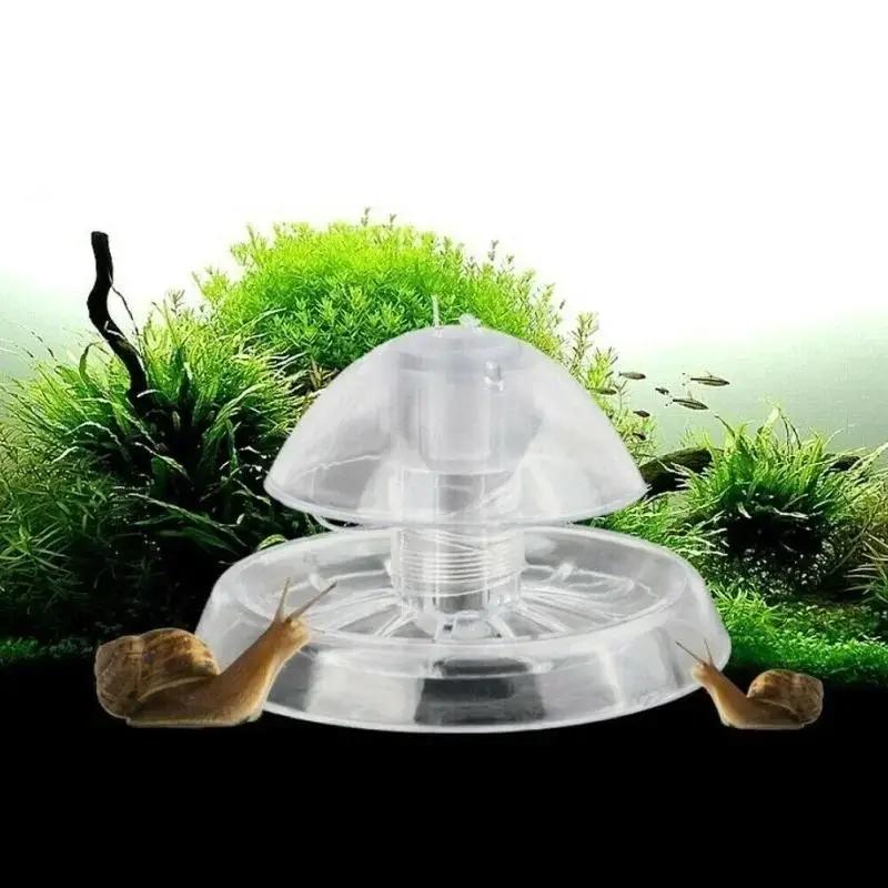 2026 New 6/8CM Clear Plastic S - Aquarium Plants Book review and price
