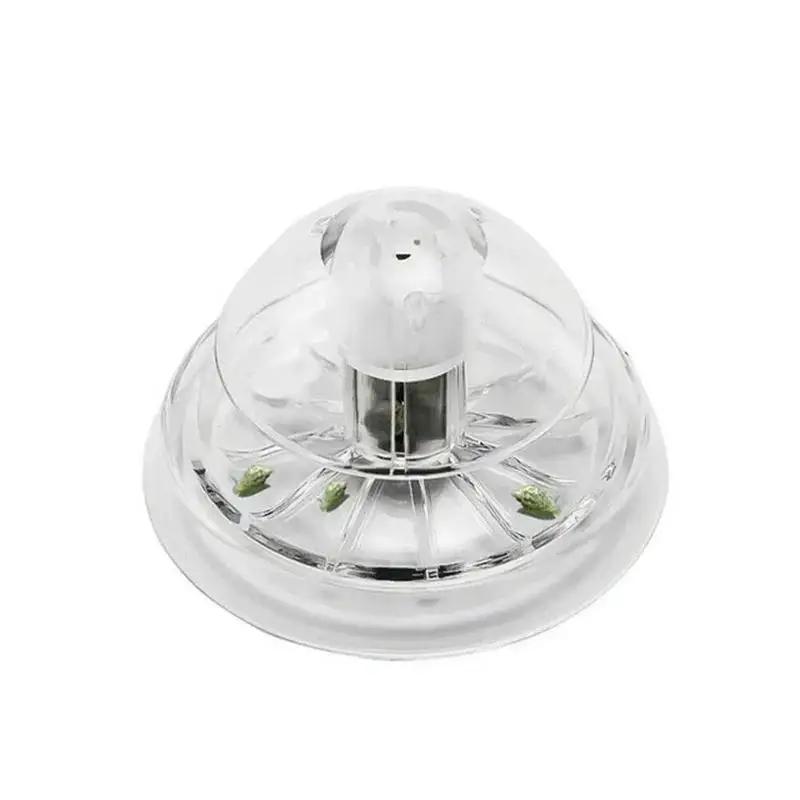 2026 New 6/8CM Clear Plastic S - Aquarium Plants Book review and price