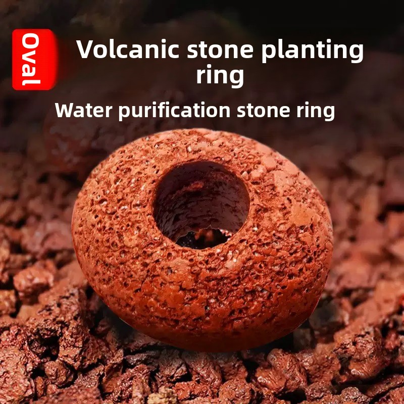 Aquarium Volcanic Rock Fish Ta - Planted Aquarium Care review and price