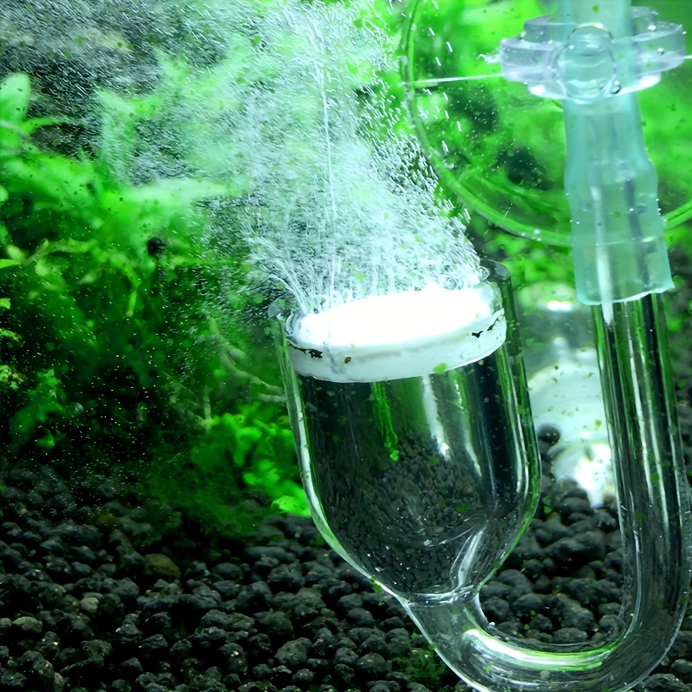 Aquarium Glass CO2 Atomizer Di - Aquarium Plants Book review and price