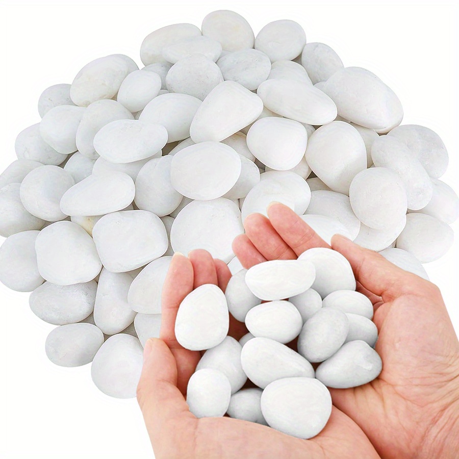 200/400g White High Polished N - Aquarium Plants Book review and price