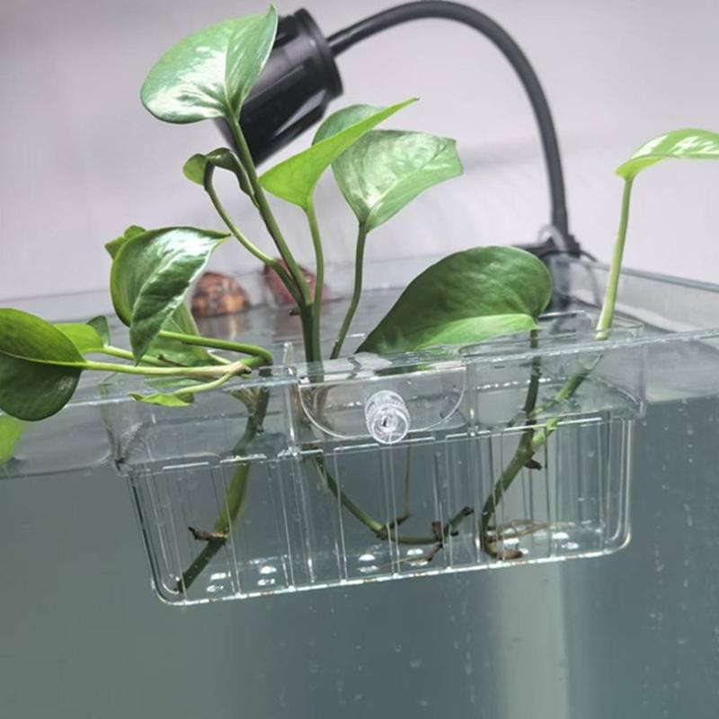 Hydroponic Plant Basket Food G - Aquarium Plant Original review and price