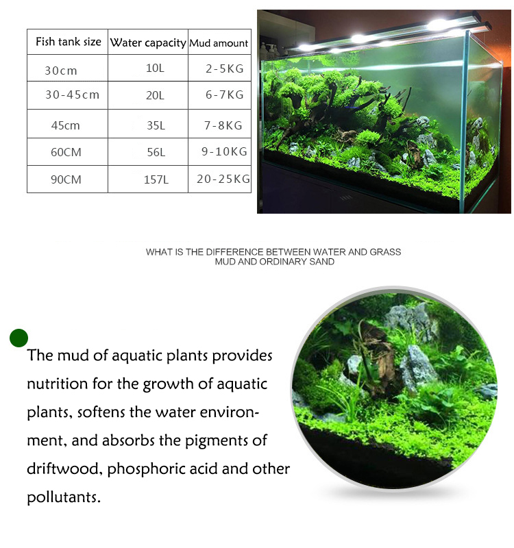 Aquarium Plant Seeds Soil Fish - Aquarium Plants Book review and price