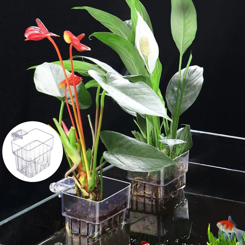 Multifunctional Fish Aquarium  - Aquarium Planted Tank review and price