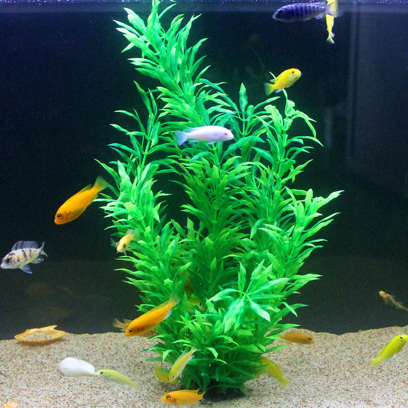 50CM Artificial Fish Tank Rare - Aquarium Plants Book review and price