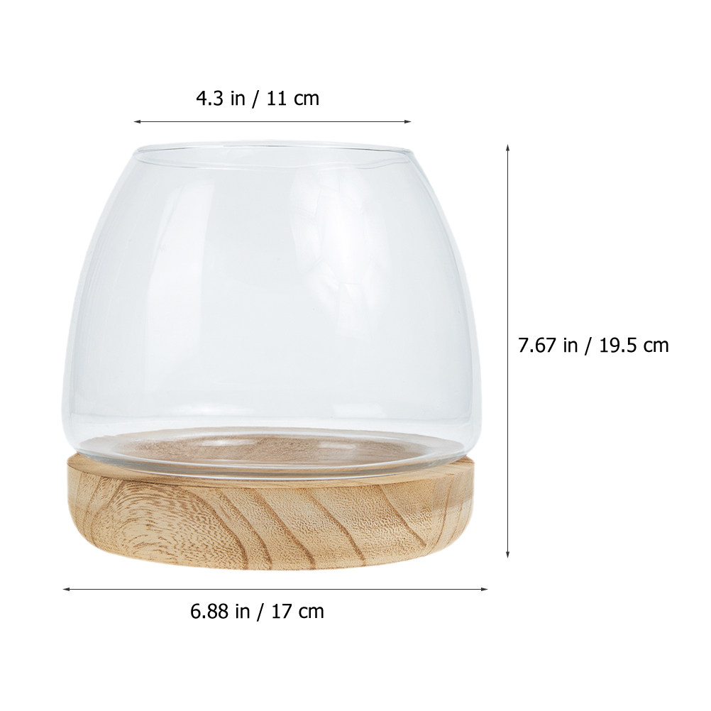 1Set Clear Glass Hydroponic Pl - Aquarium Plant Original review and price
