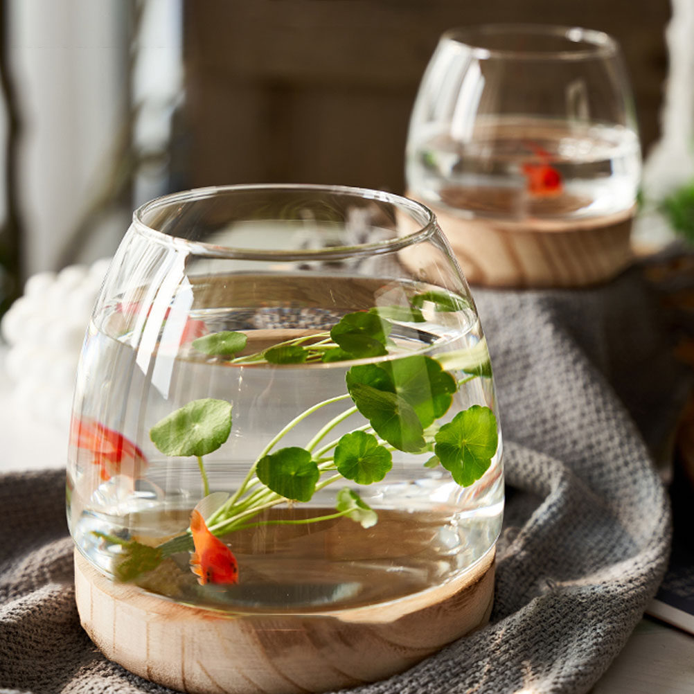 1Set Clear Glass Hydroponic Pl - Aquarium Plant Original review and price